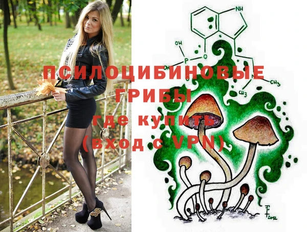apvp Алексин