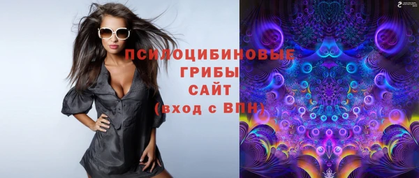 шишки Алзамай