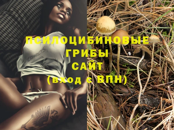 шишки Алзамай